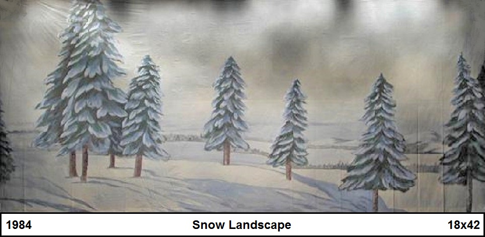 Snow Landscape Backdrop