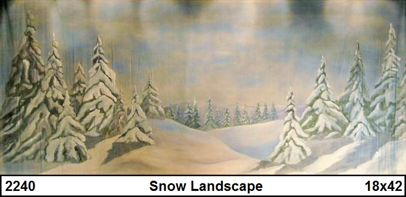 Snow Landscape Backdrop