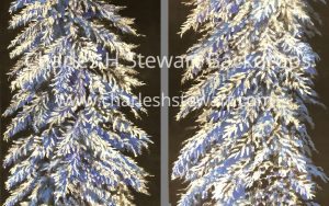 Winter-Trees-Legs-Backdrop