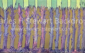 Woods Scrim Backdrop