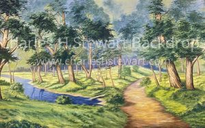 forest with dirt path and stream