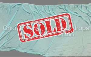 Light Blue Chiffon Tab Backdrop
